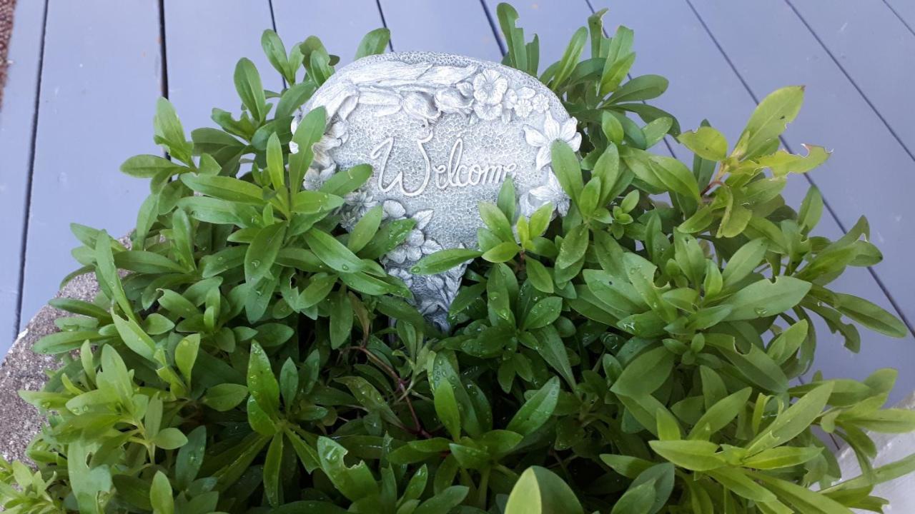 Hillside Landing B&B Digby Luaran gambar